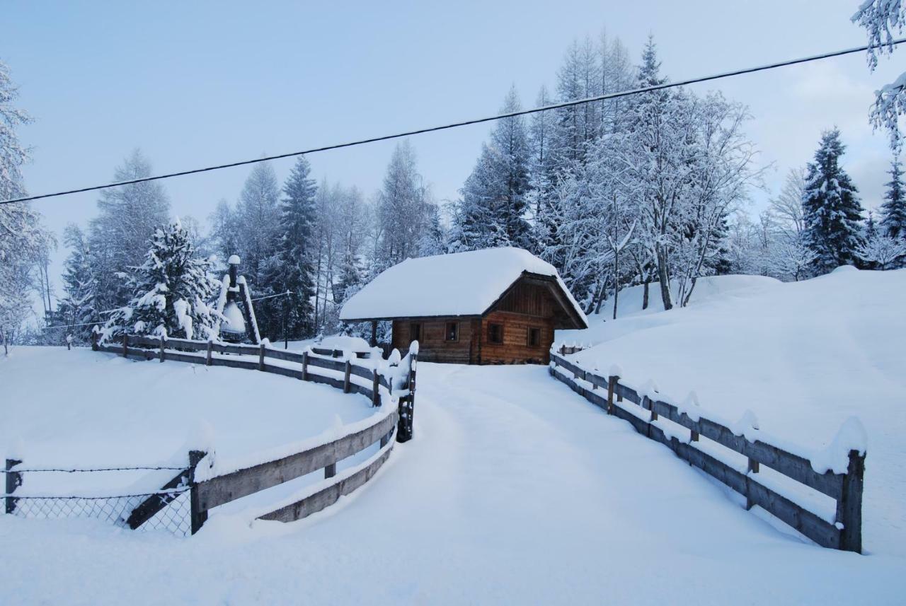 Ferienhaus Gobald 무라우 외부 사진