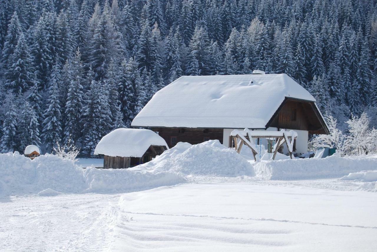 Ferienhaus Gobald 무라우 외부 사진